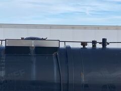 1980 PRESVAC SYSTEMS PVT5000 - Image 10