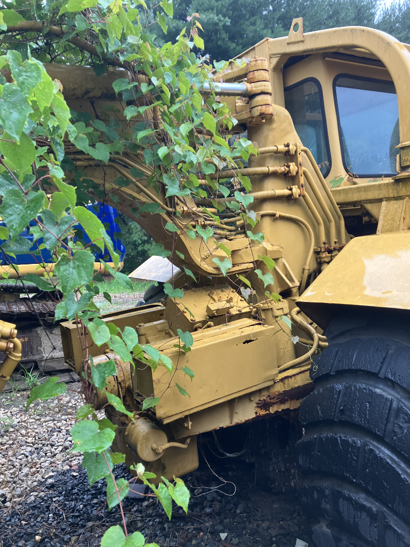 1974 CATERPILLAR 613 - view 7 of 54