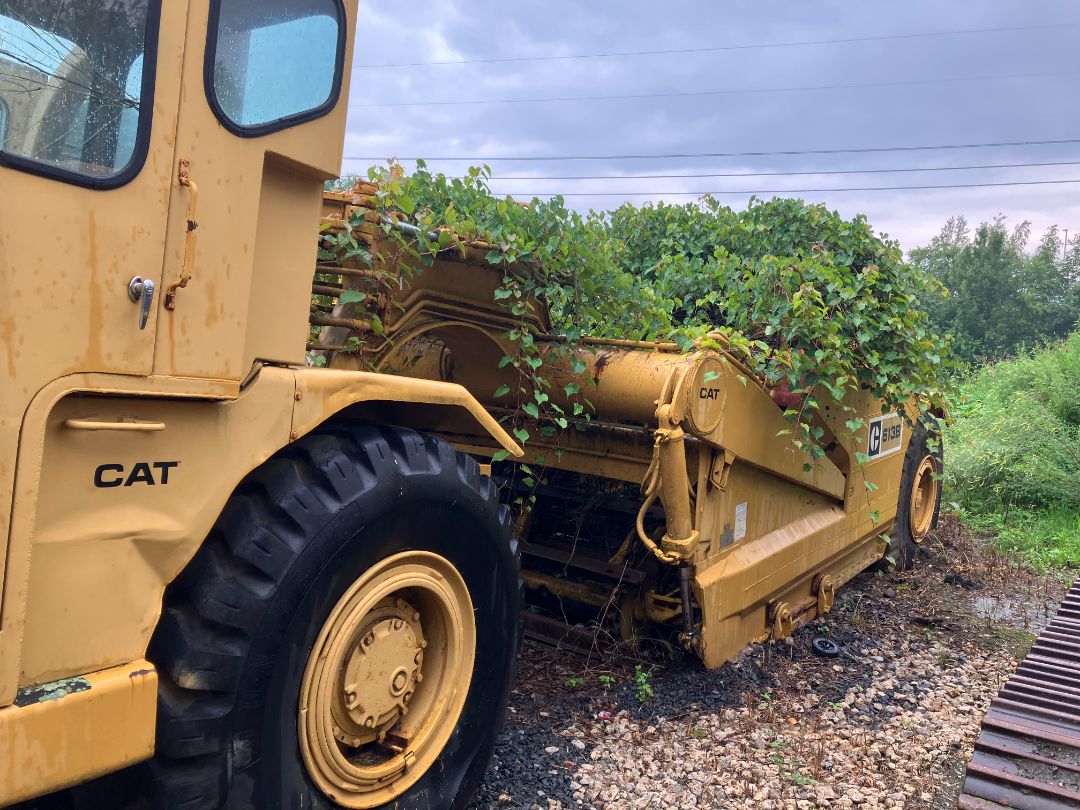 1974 CATERPILLAR 613 - view 10 of 54