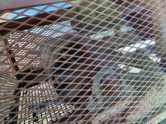 1995 ALLIS-CHALMERS ST RIPL-FLO - Image 11