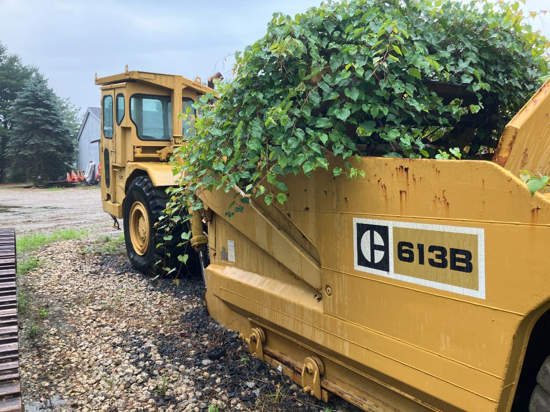 1974 CATERPILLAR 613 - view 15 of 54