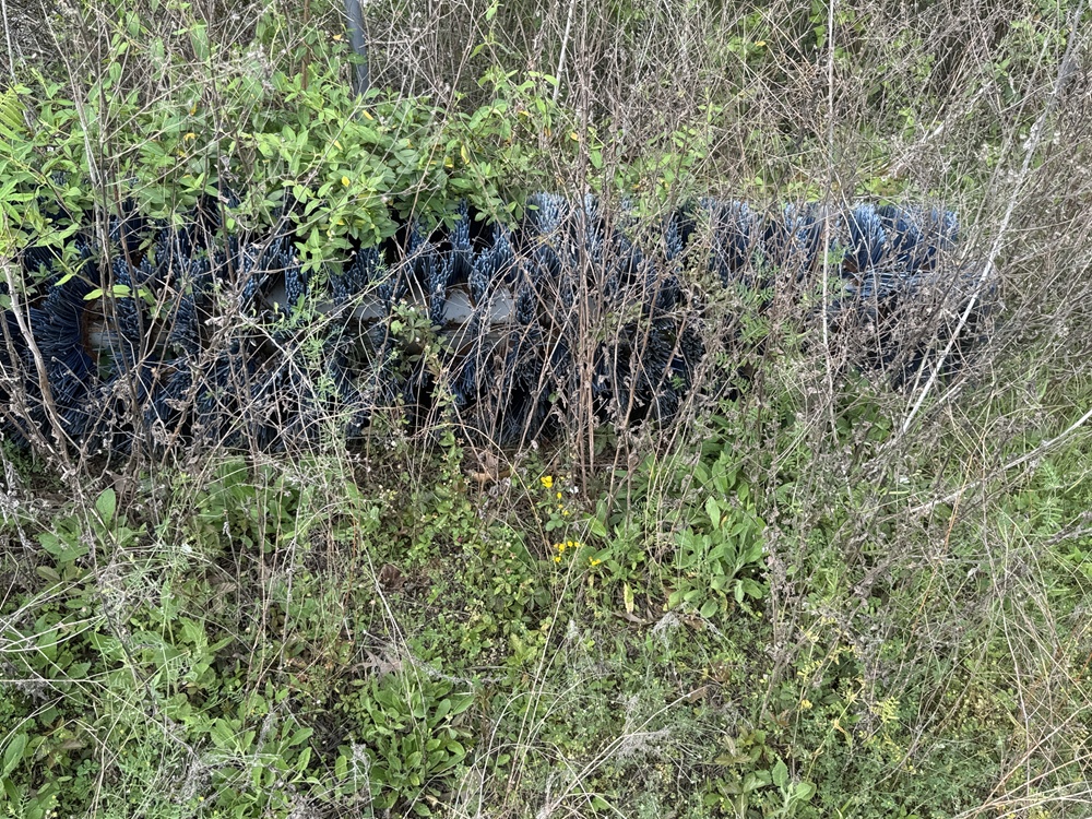 1987 WALDON Sweepmaster - view 12 of 17