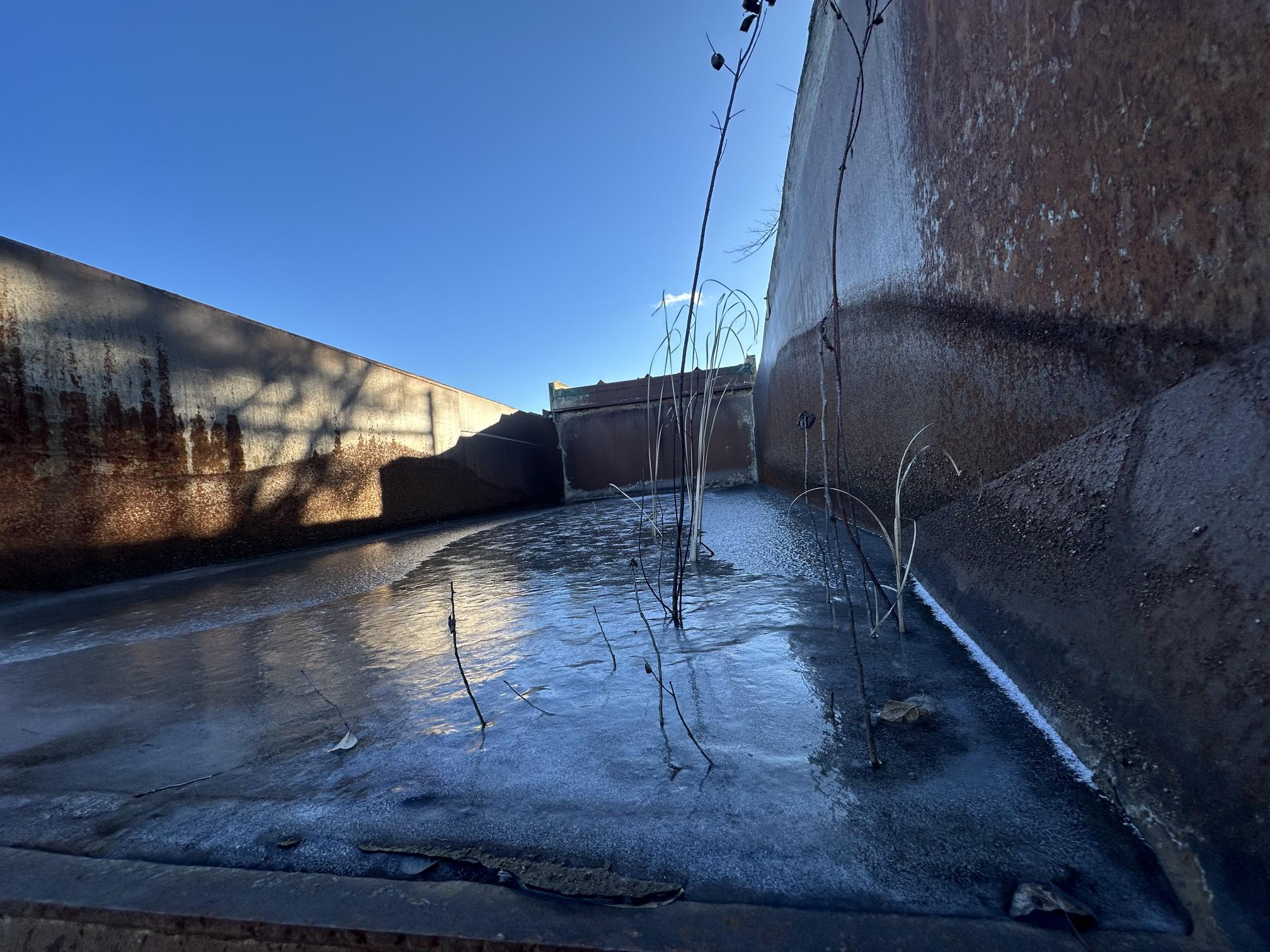 1992 INTERNATIONAL F5070 - view 5 of 36