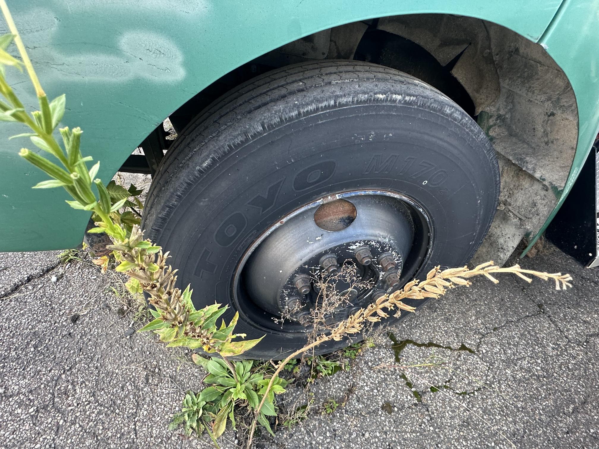 2004 KENWORTH T300 - view 8 of 36