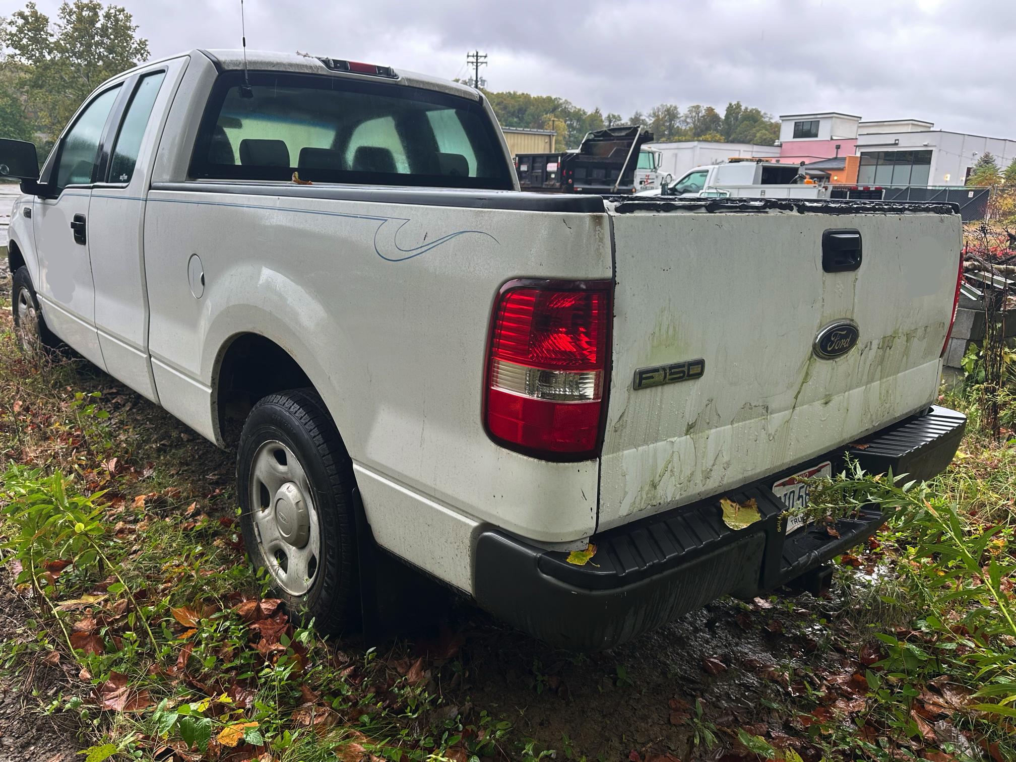 2005 FORD F150 - view 5 of 23