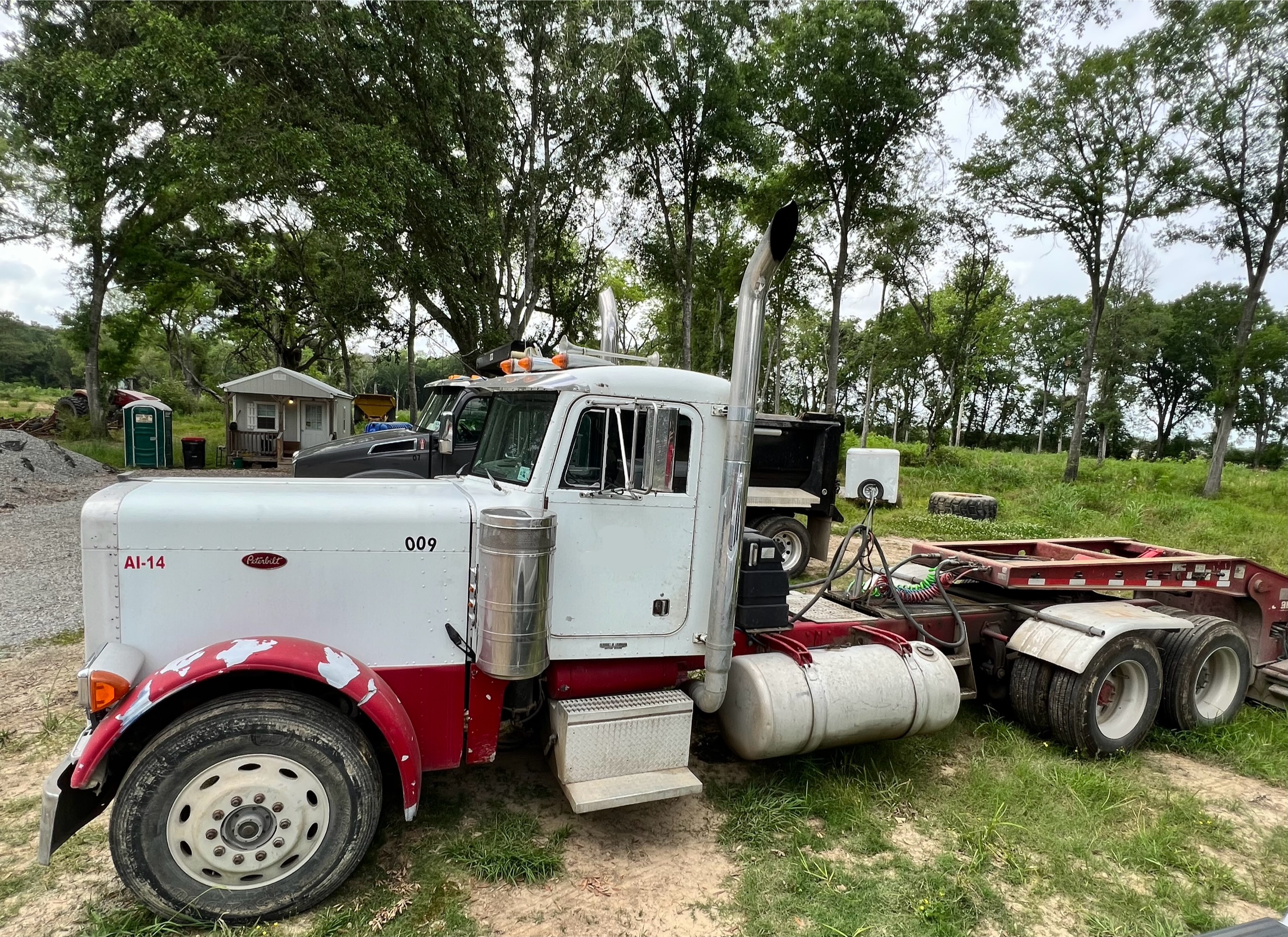 1990 PETERBILT 379 - Image 9