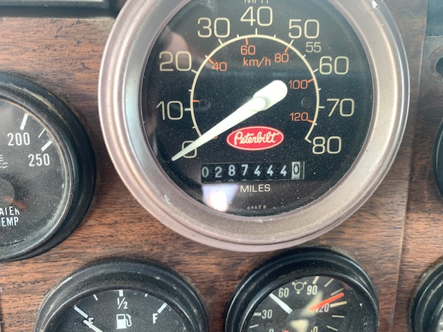 1989 PETERBILT 379 - Image 19