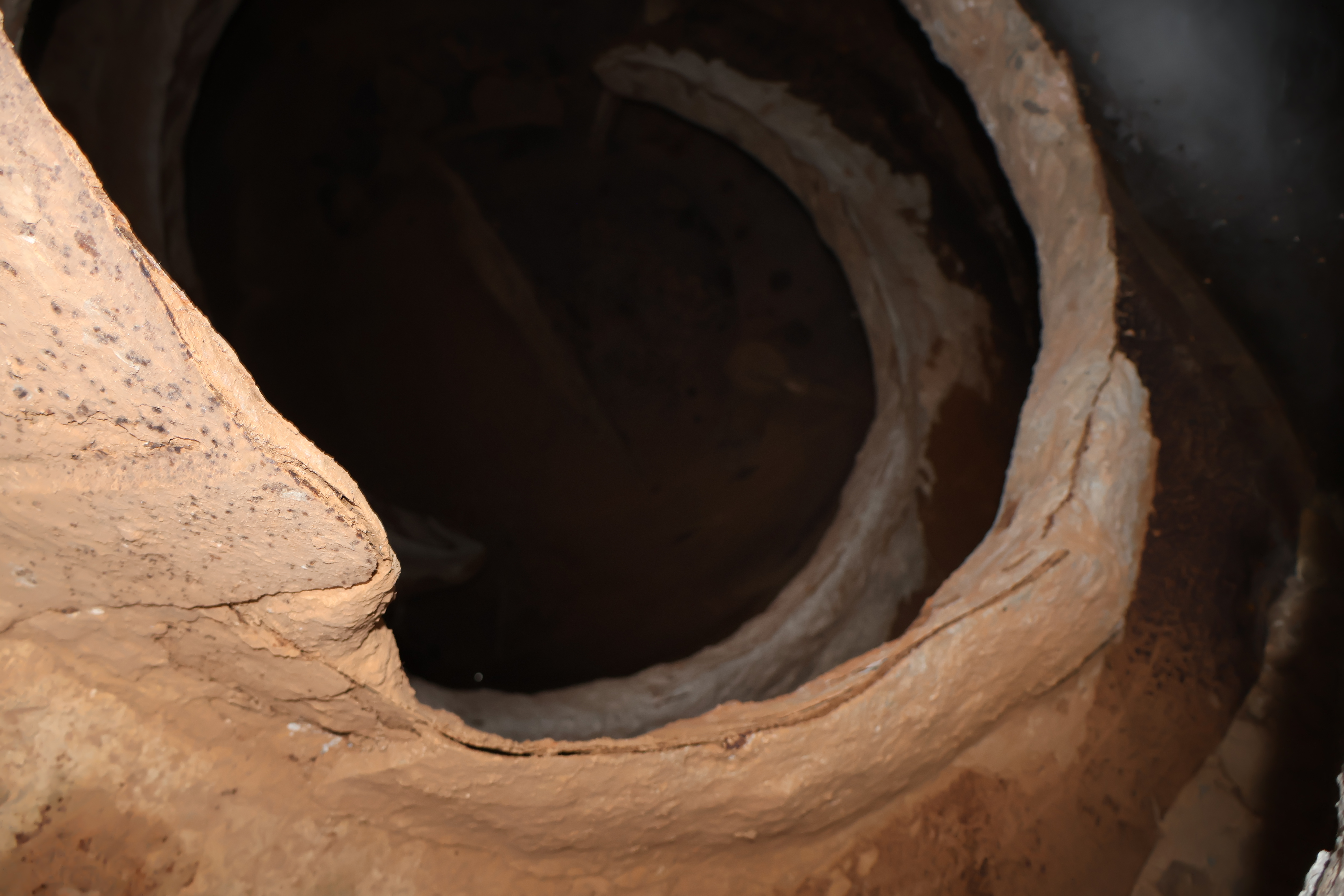 1987 MACK DM600 - Image 15