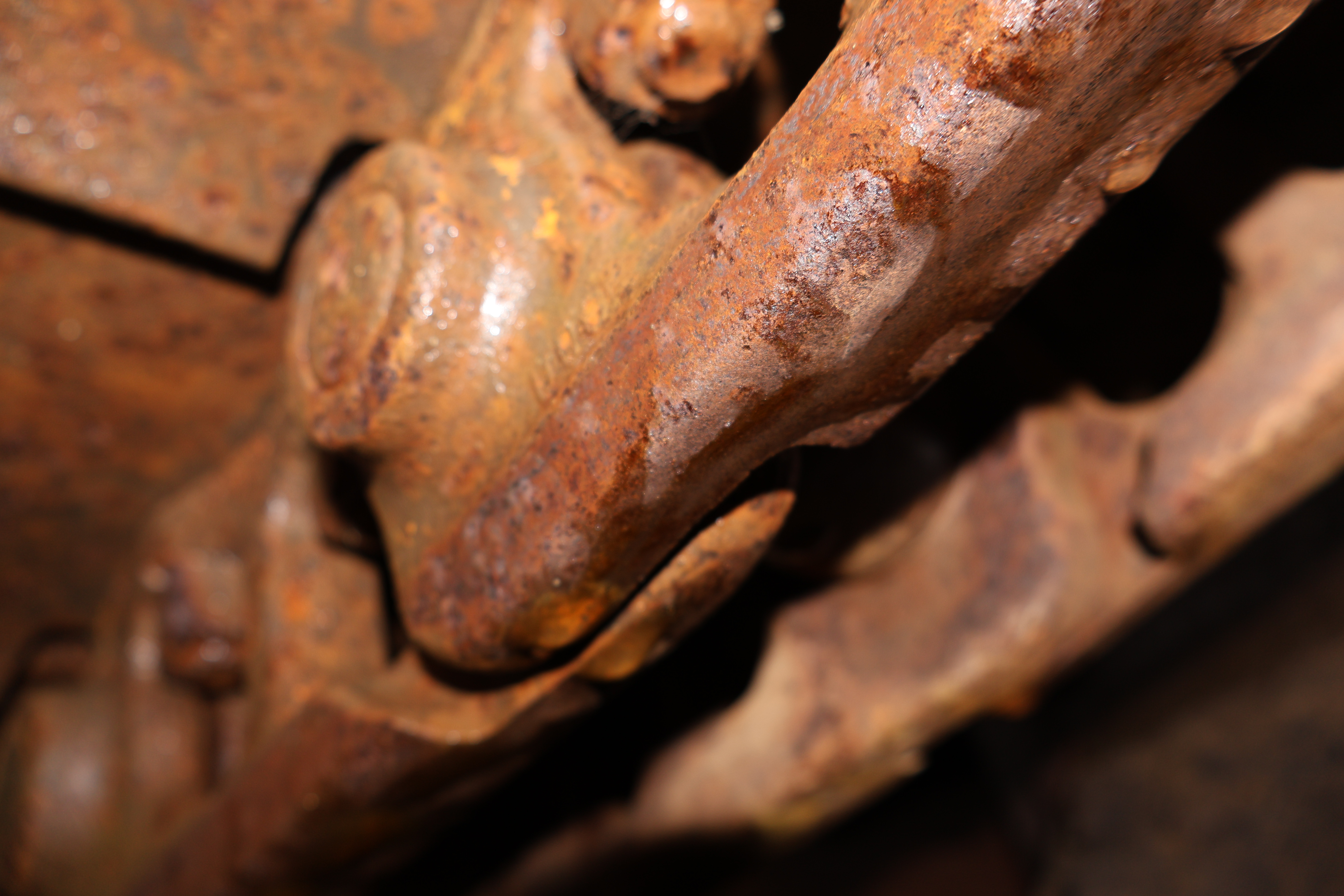 1979 CATERPILLAR D3 - Image 18