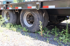 1989 TRAIL KING TKC 19ft - Image 10