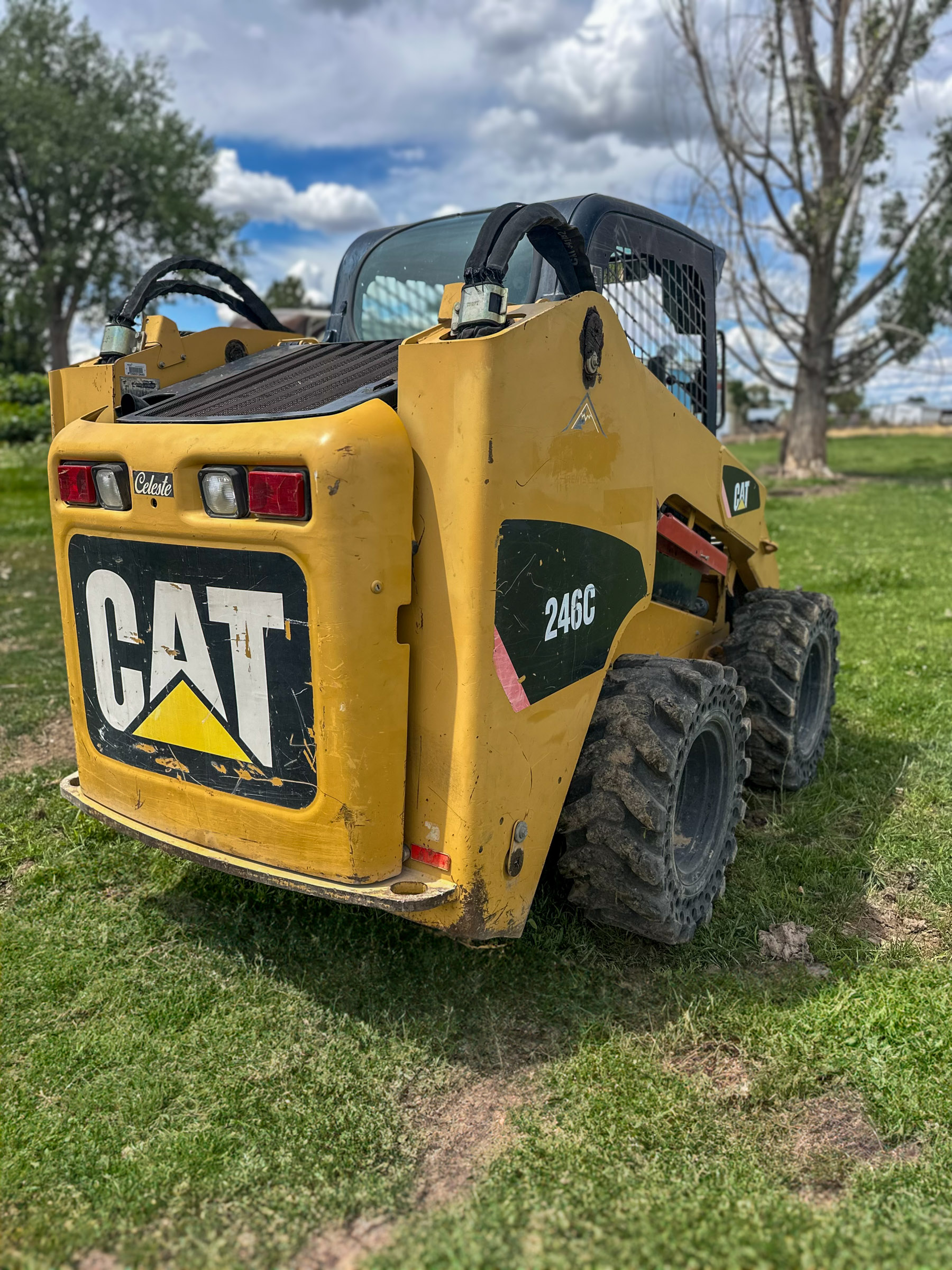 2007 CATERPILLAR 246C - Image 6