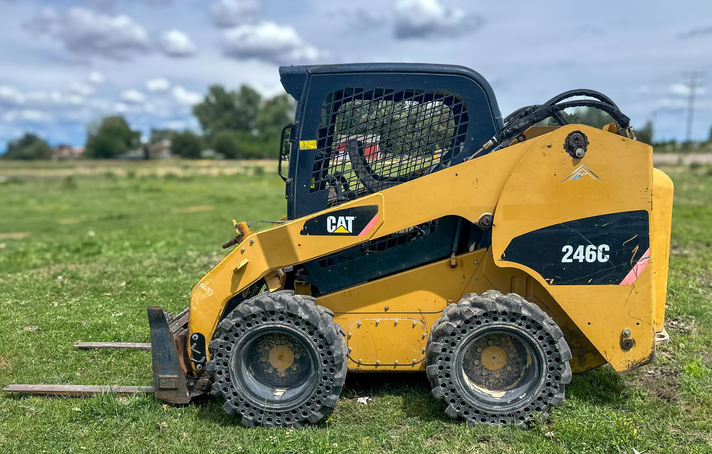 2007 CATERPILLAR 246C - Image 3