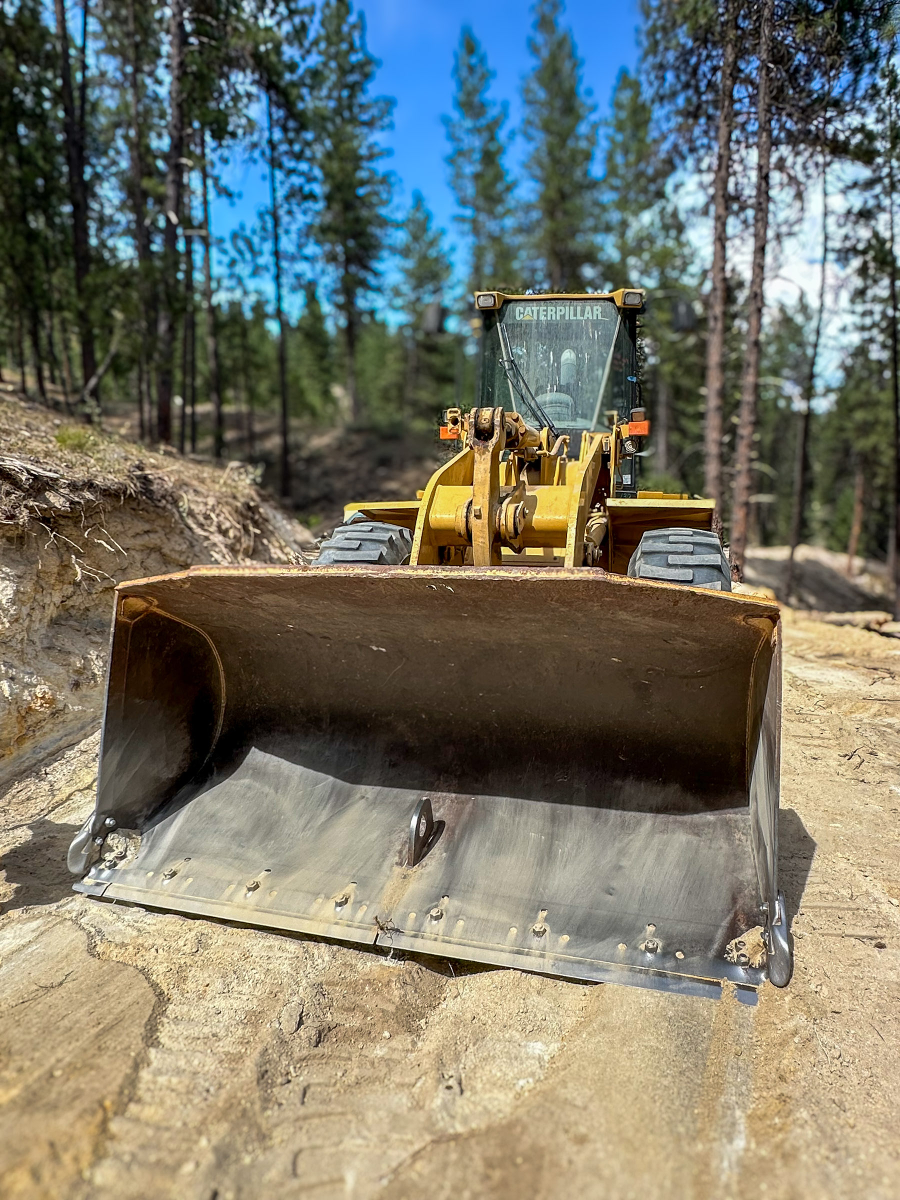 2006 CATERPILLAR 938G II - view 7 of 16