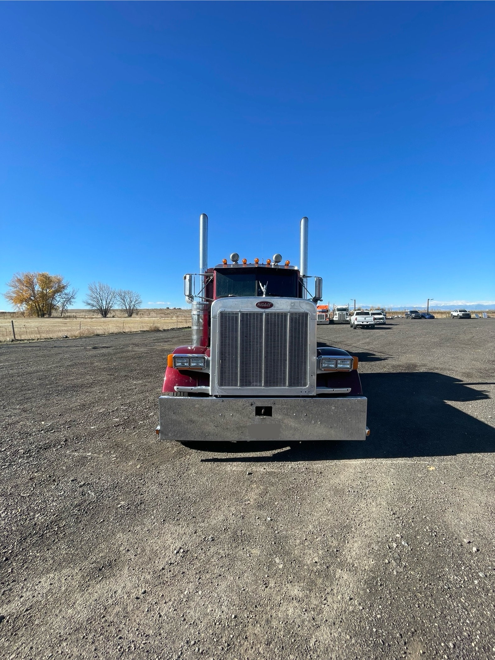 1989 PETERBILT 379 - Image 20