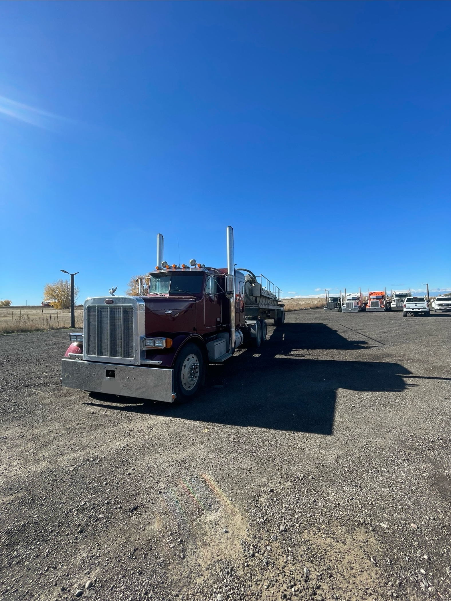 1989 PETERBILT 379 - view 6 of 103