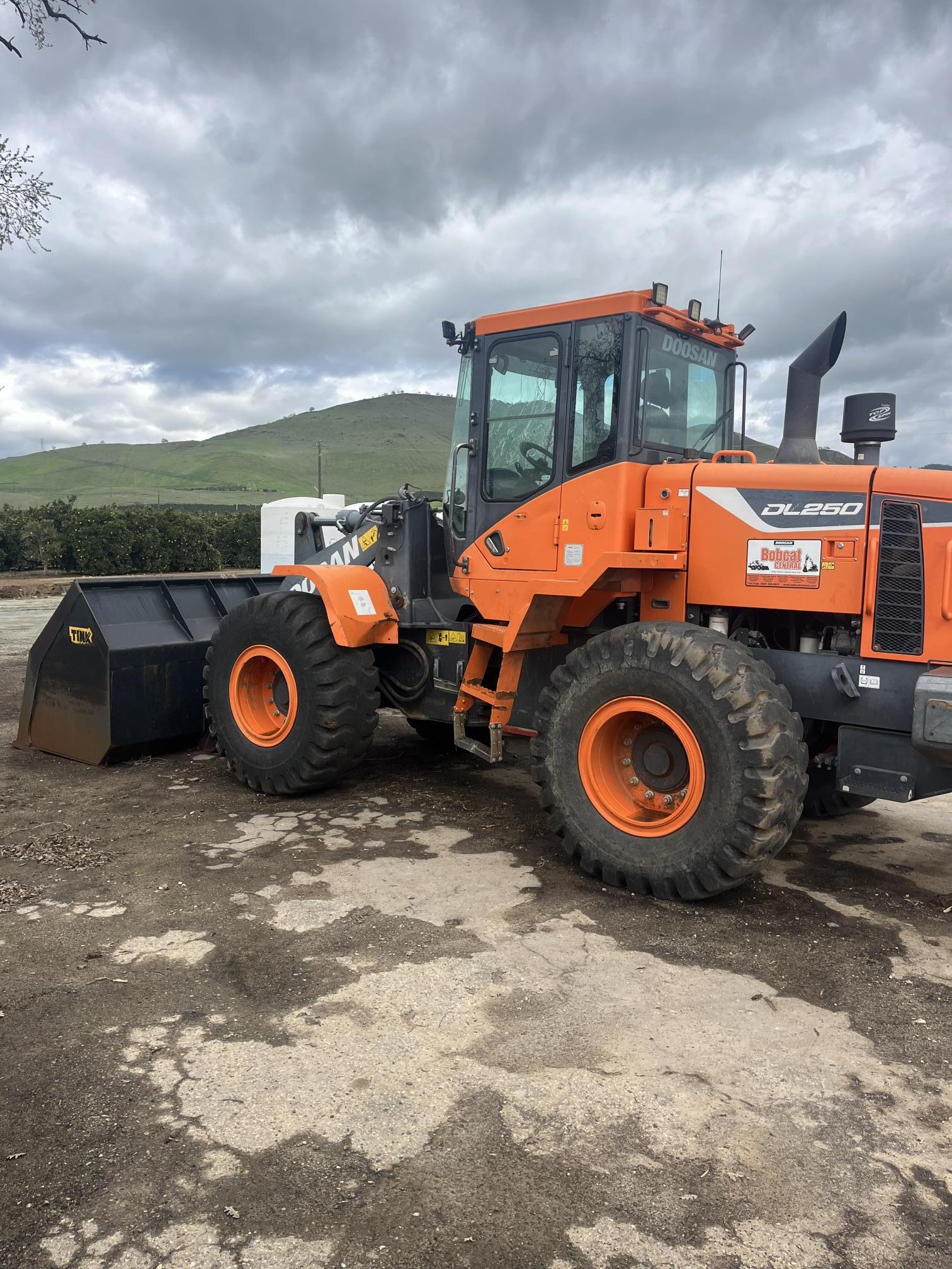 2019 DOOSAN Dl250-5 - view 1 of 8