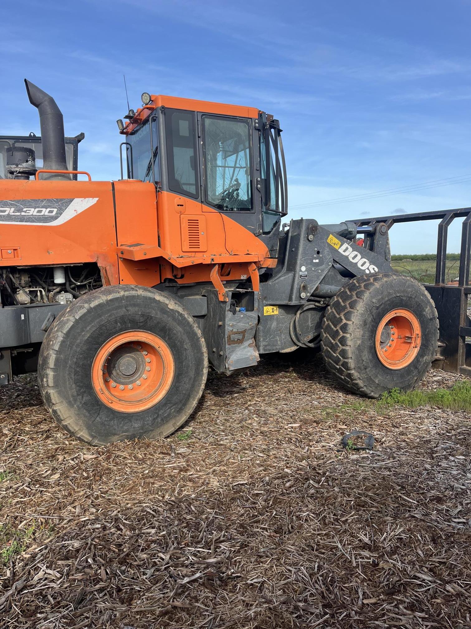 2018 DOOSAN Dl300 - view 2 of 8