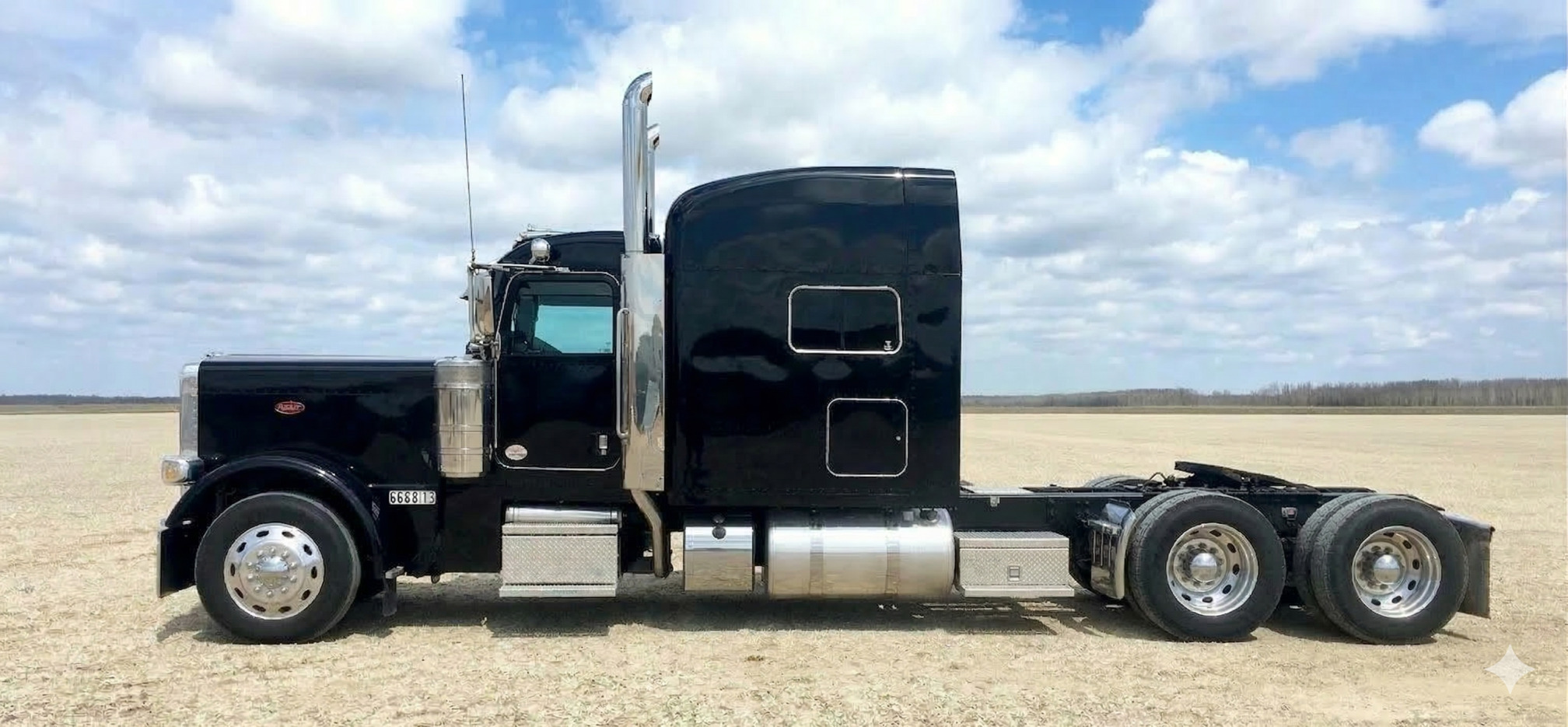 2024 PETERBILT 389 - Image 3