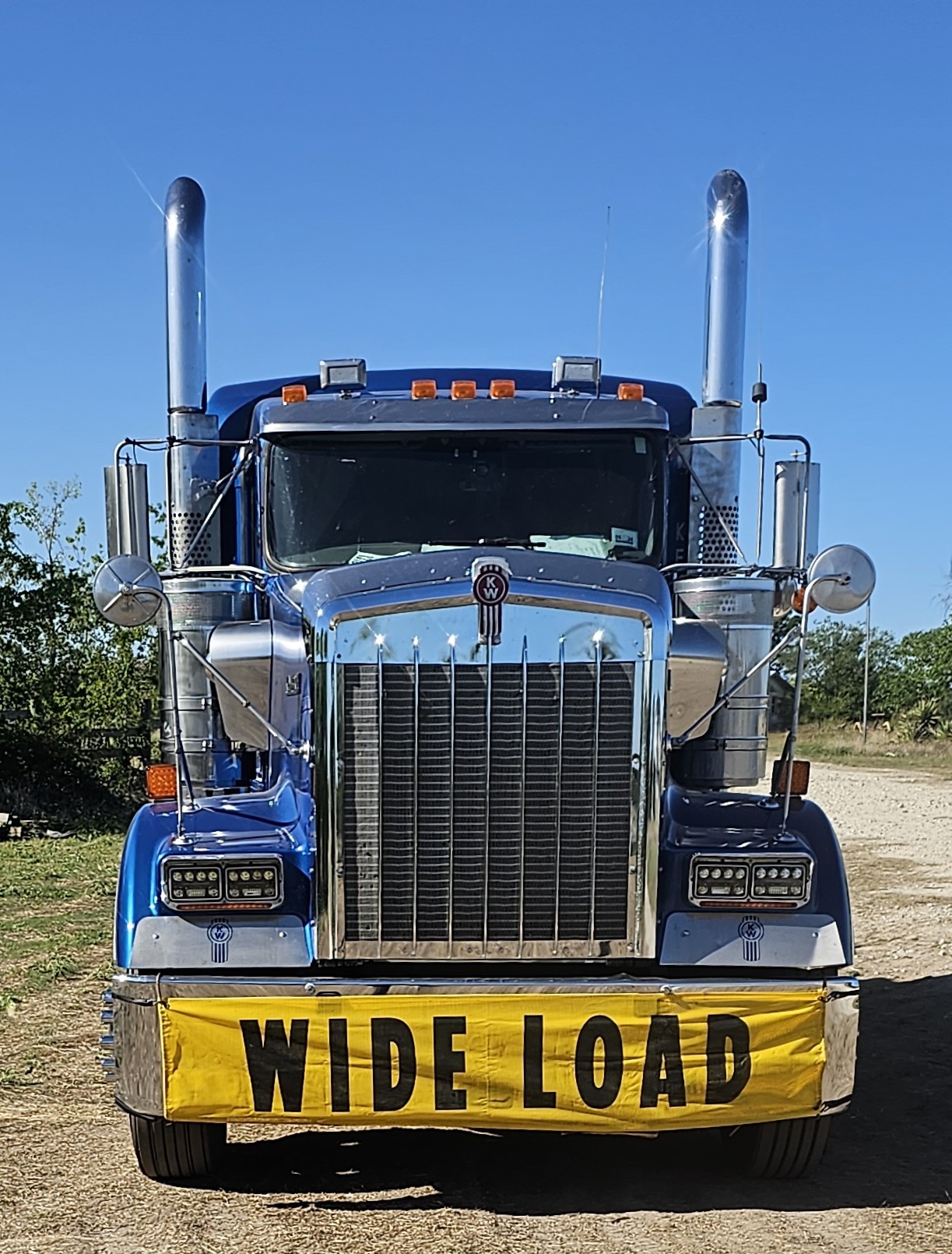 2015 KENWORTH W900 - Image 8