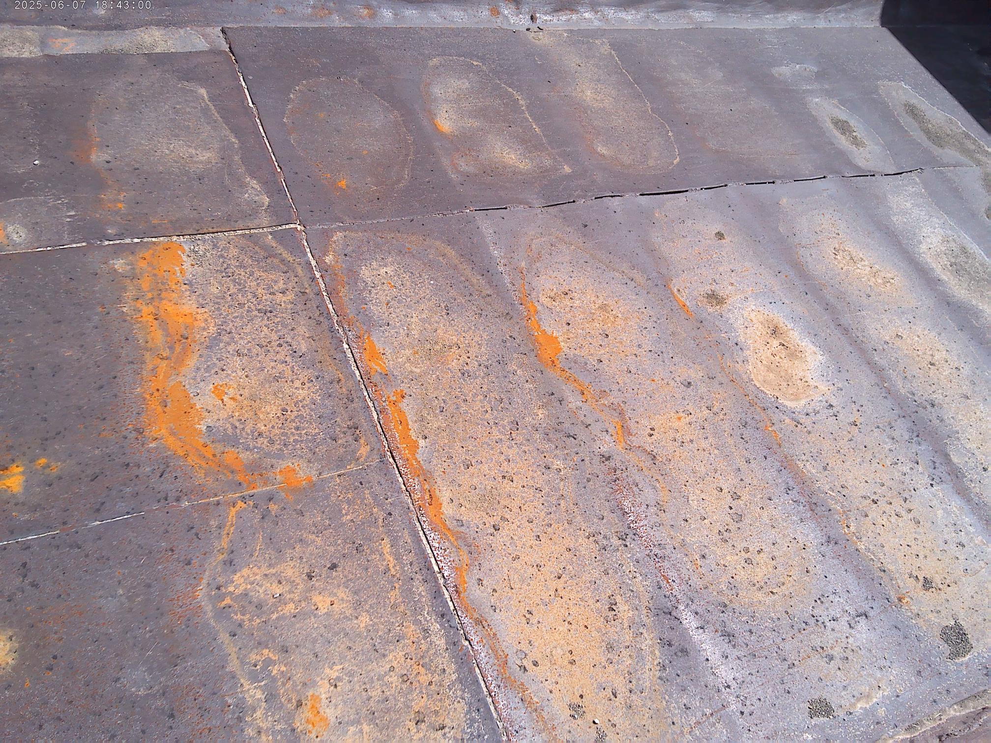 1991 WHITE/GMC WG - view 9 of 30