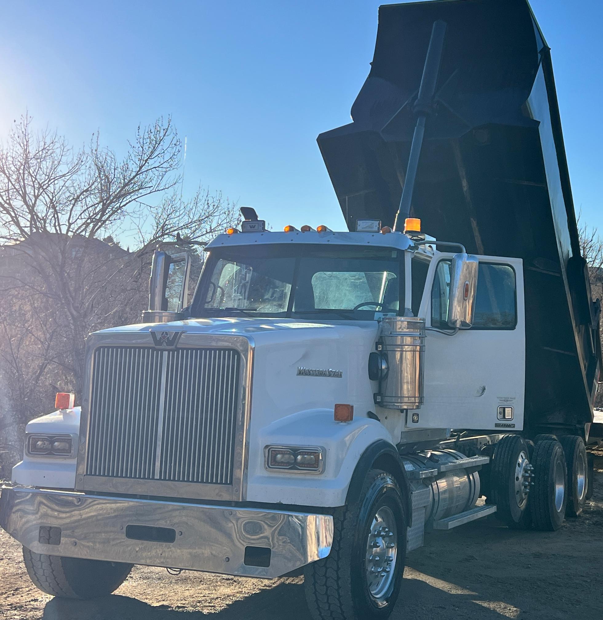 2019 WESTERN STAR W4900 - view 3 of 93
