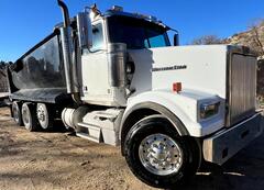 2019 WESTERN STAR 4900 - Image 15
