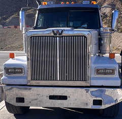 2019 WESTERN STAR 4900 - Image 19