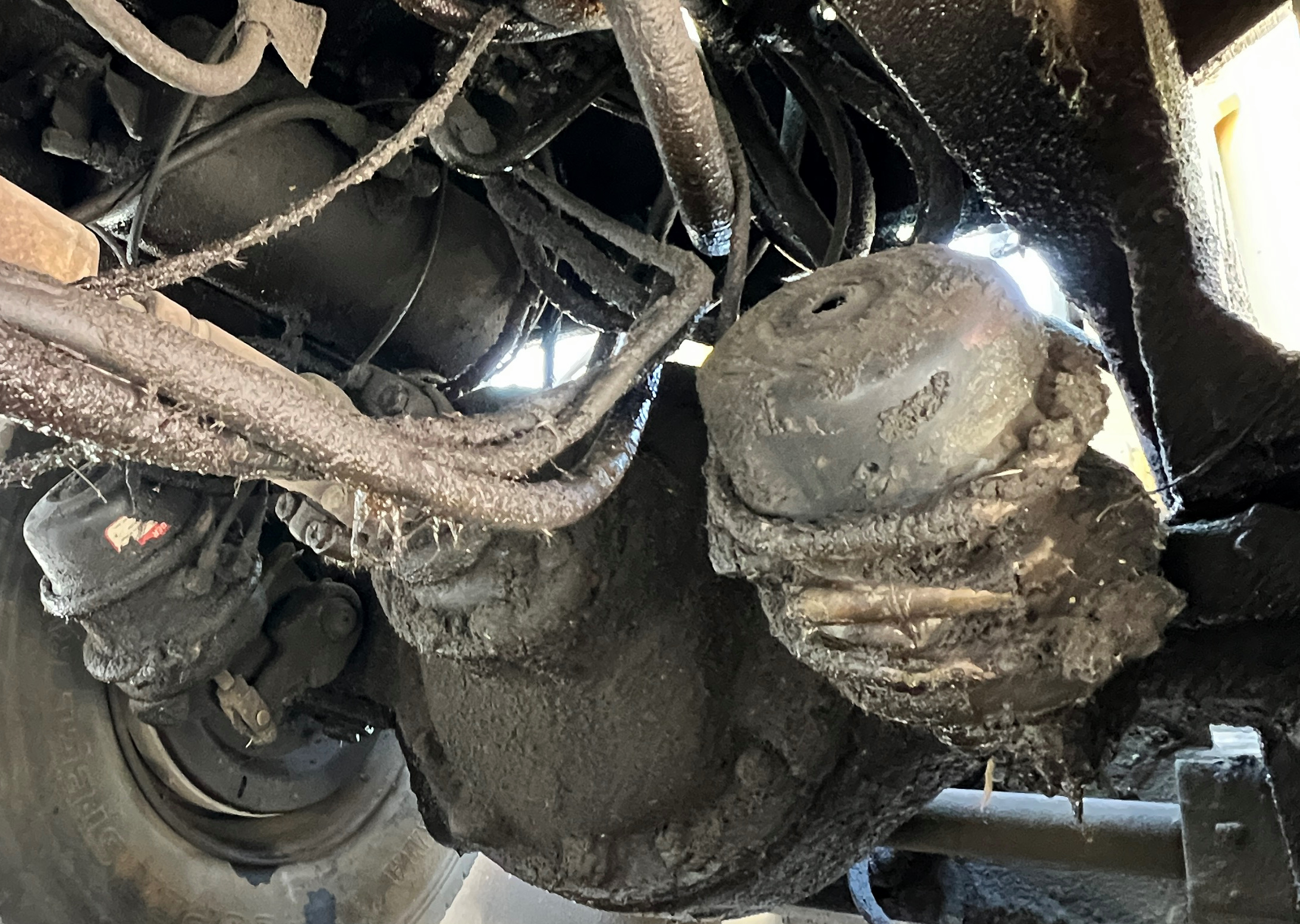 1982 WIGGINS WD228y - Image 35