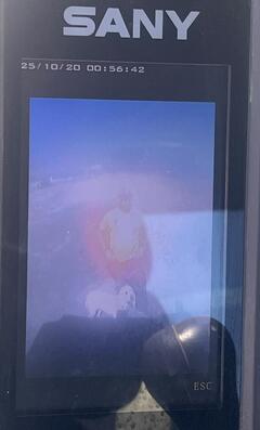 2019 SANY SY215C LC - Image 40