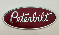 2020 PETERBILT 389 - Image 34