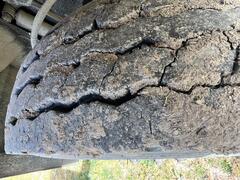 2005 MACK CV713 Granite Dump Truck - Image 62