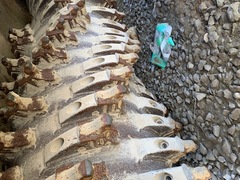 2017 FAE MTM-225 - Image 6