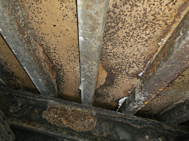 2010 KENWORTH T370 - Image 20