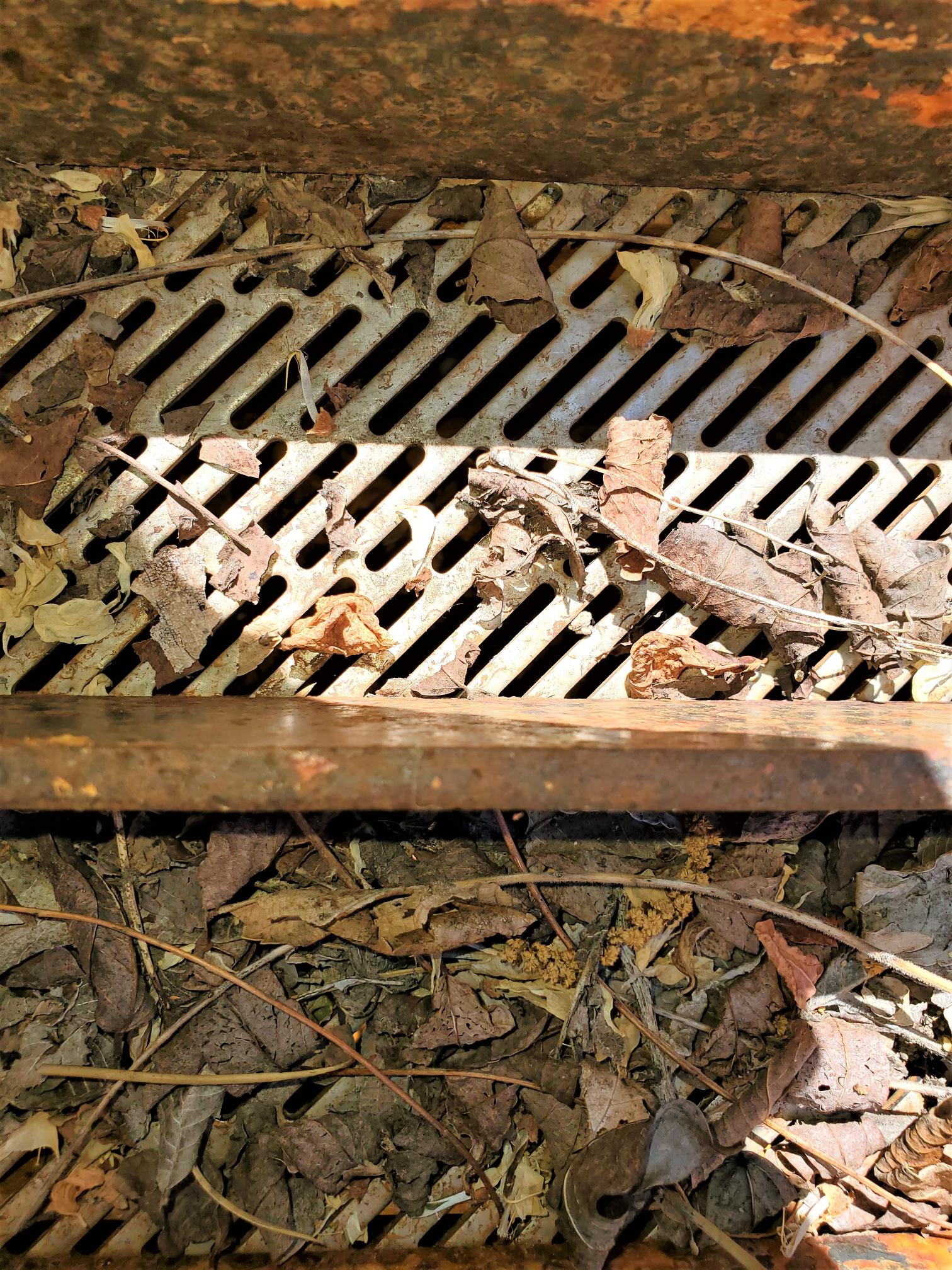 2000 CUSTOM MADE IRD 42 - Image 15