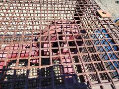 2024 PARMA Water Lifter Chopper Pump - Image 9