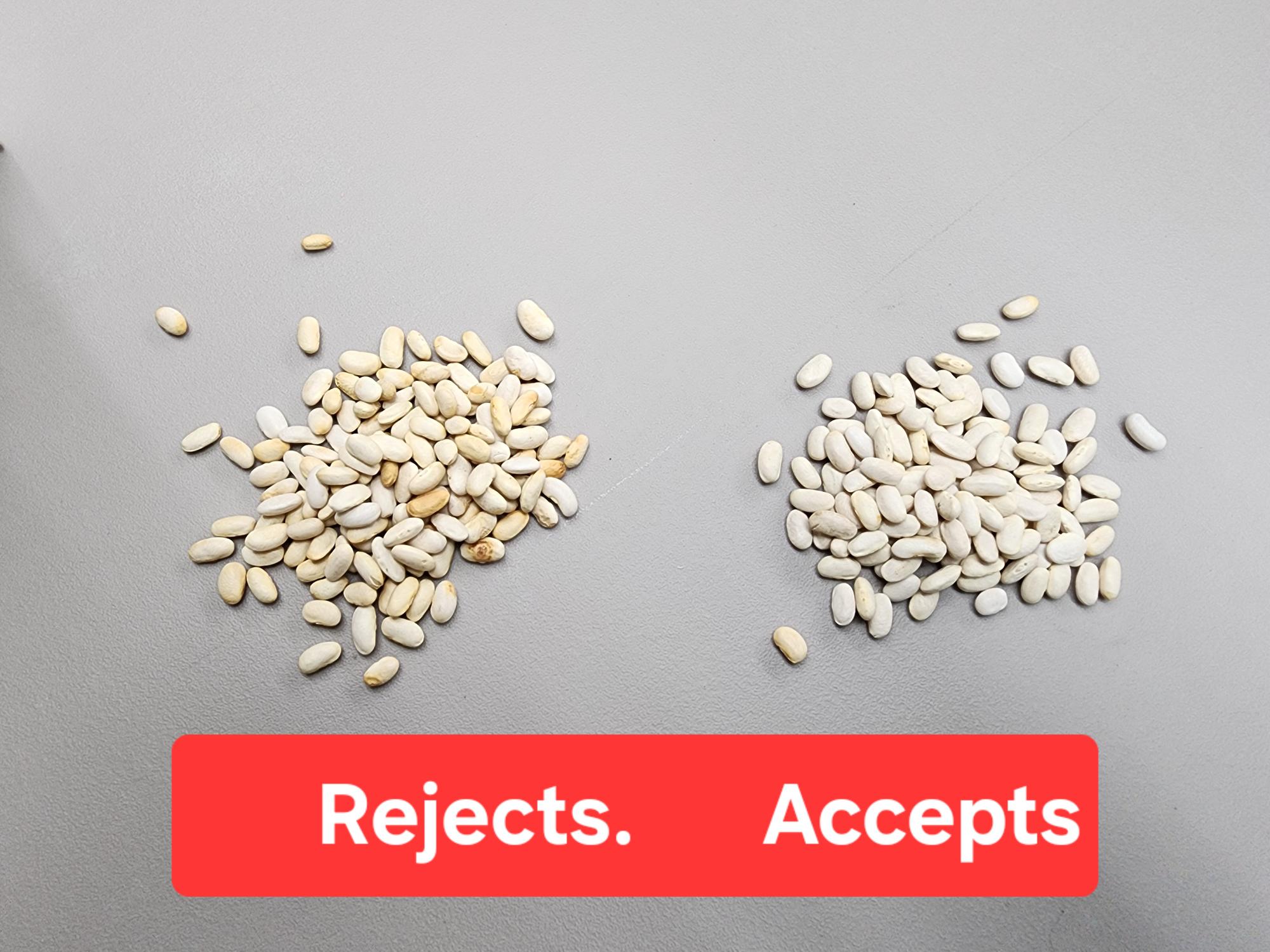 2013 BUHLER SORTEX Z+2BL Color Sorter - Image 13