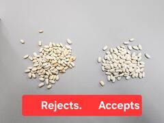 2013 BUHLER SORTEX Z+2BL Color Sorter - Image 13