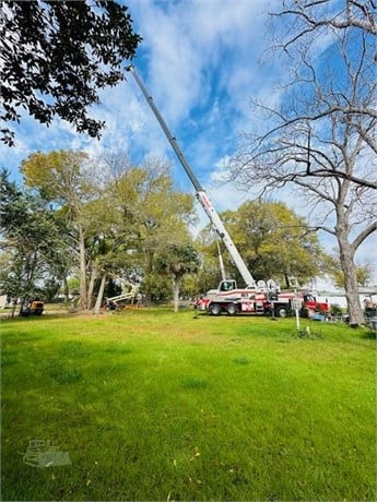 2012 LINK-BELT HTC-8675 LB - Image 4