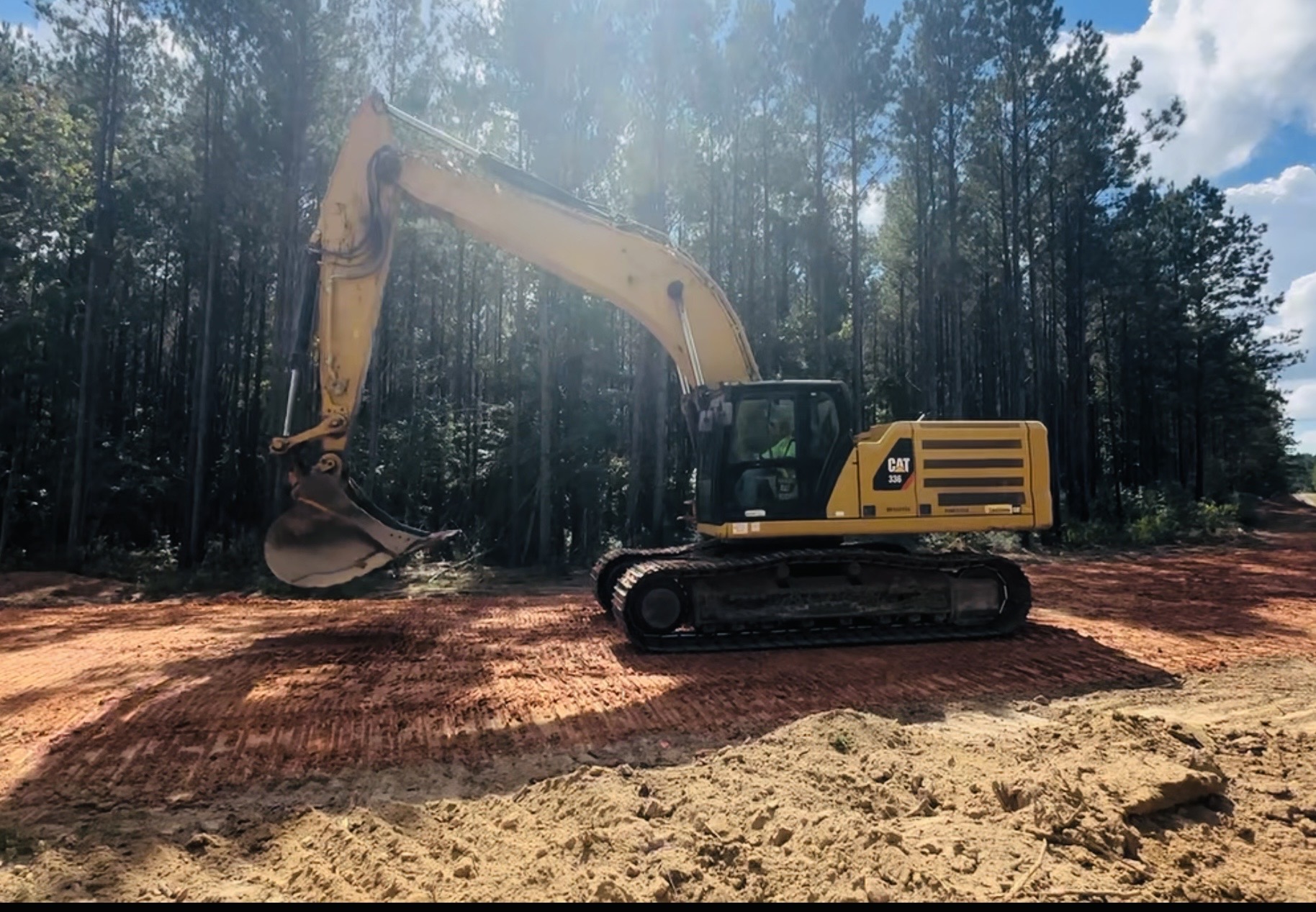 2019 CATERPILLAR 336 - view 4 of 51