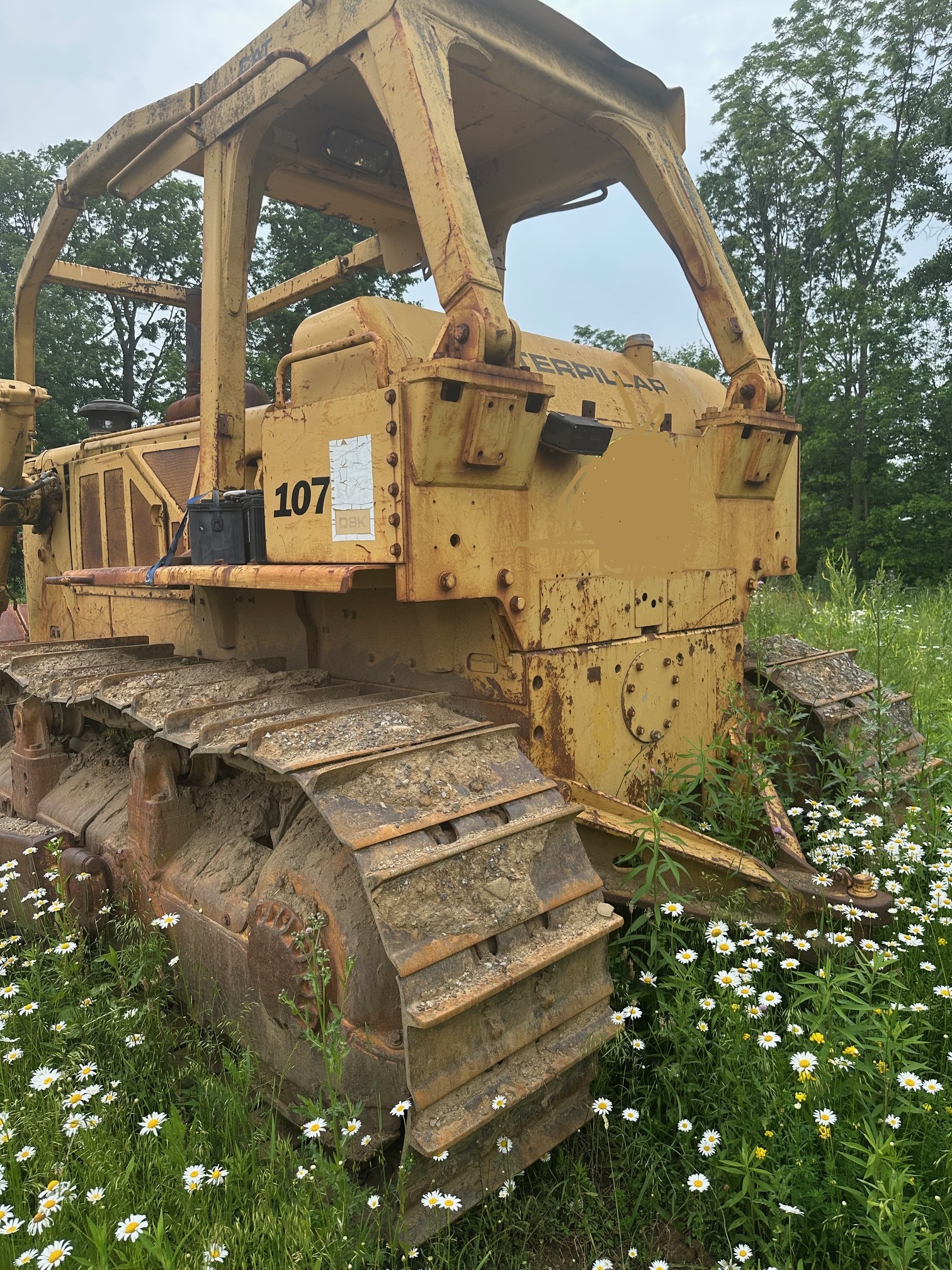 1978 CATERPILLAR D8K - view 8 of 19