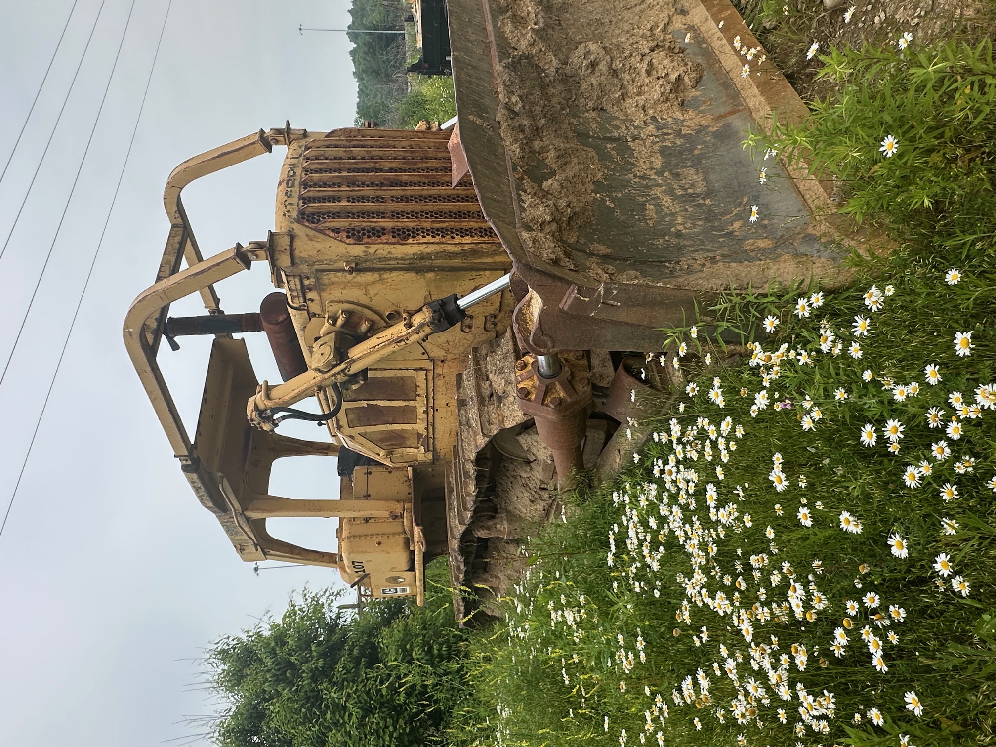 1978 CATERPILLAR D8K - view 9 of 19