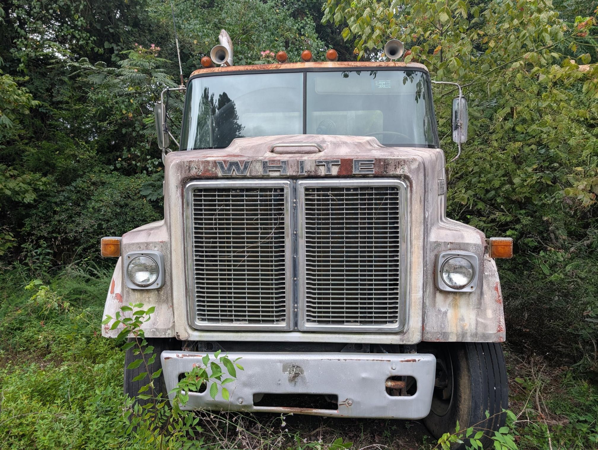 1980 WHITE 6V02TTA - Image 2