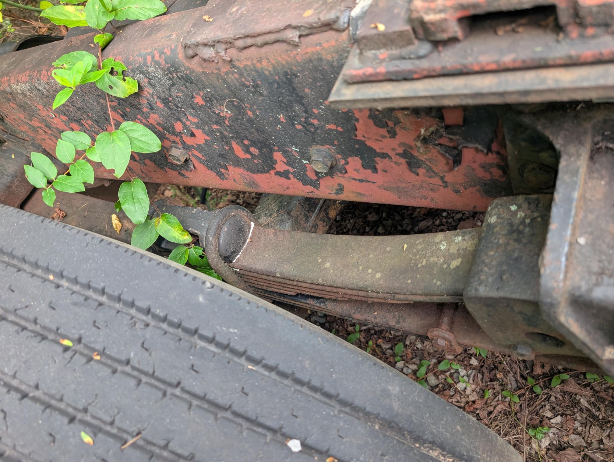 1980 WHITE 6V02TTA - Image 20