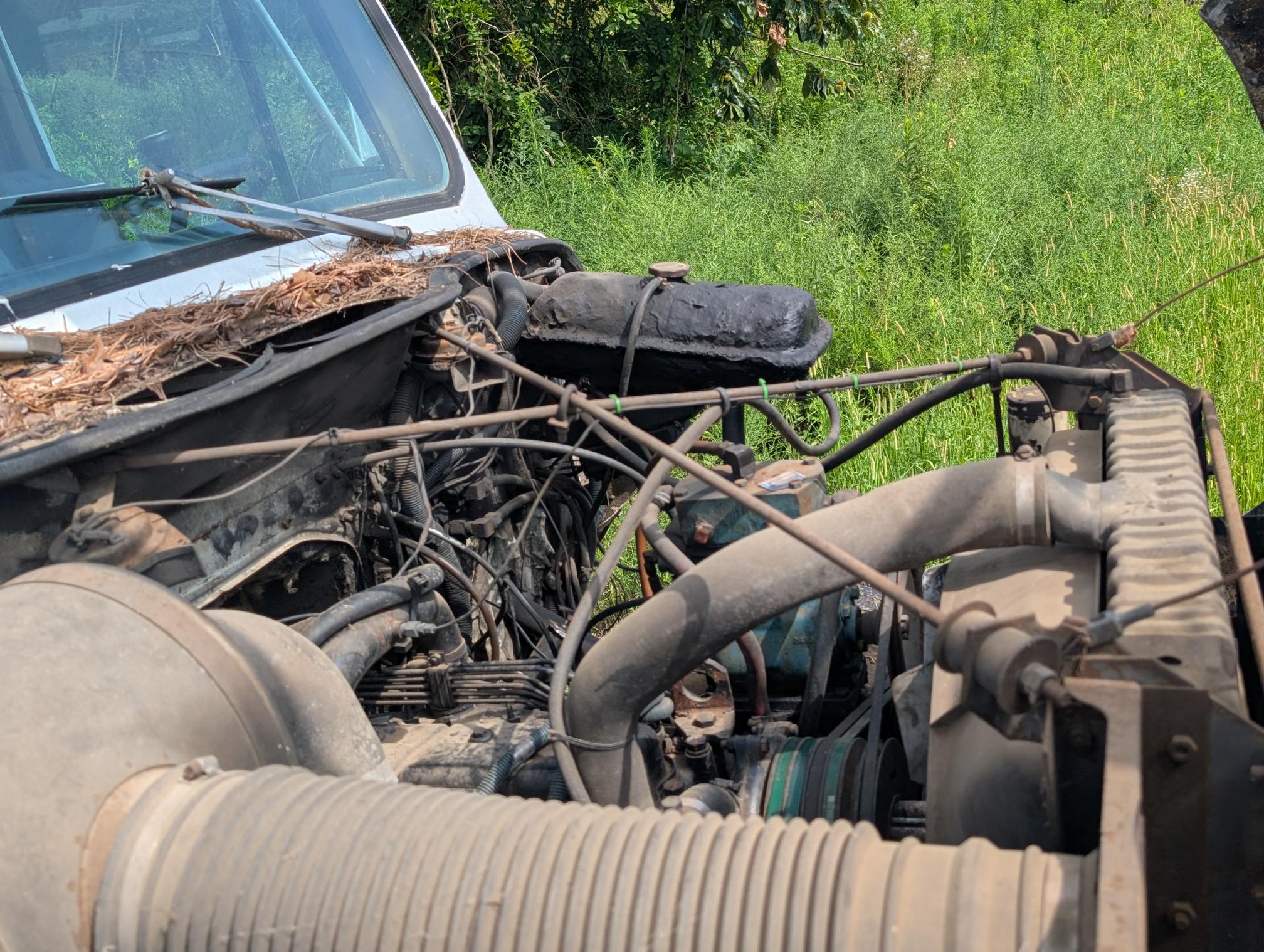 1985 INTERNATIONAL S1900 - Image 28