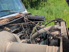 1985 INTERNATIONAL S1900 - Image 28