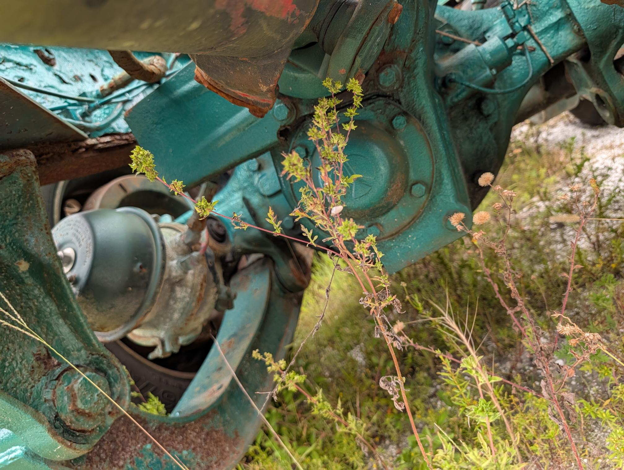 1995 WESTERN STAR 4900 - Image 33