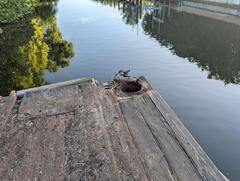 1984  Barge - Image 6