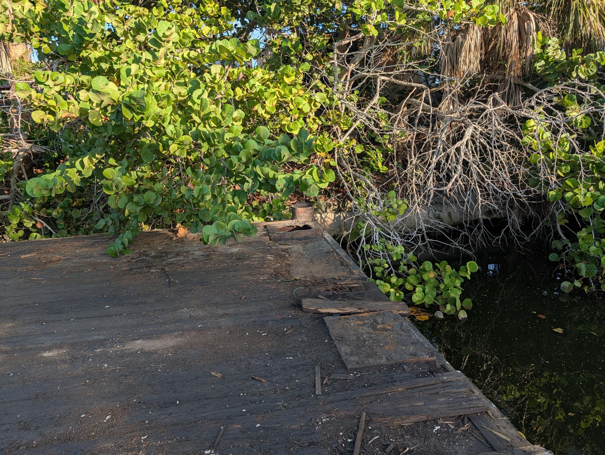 1984  Barge - Image 7