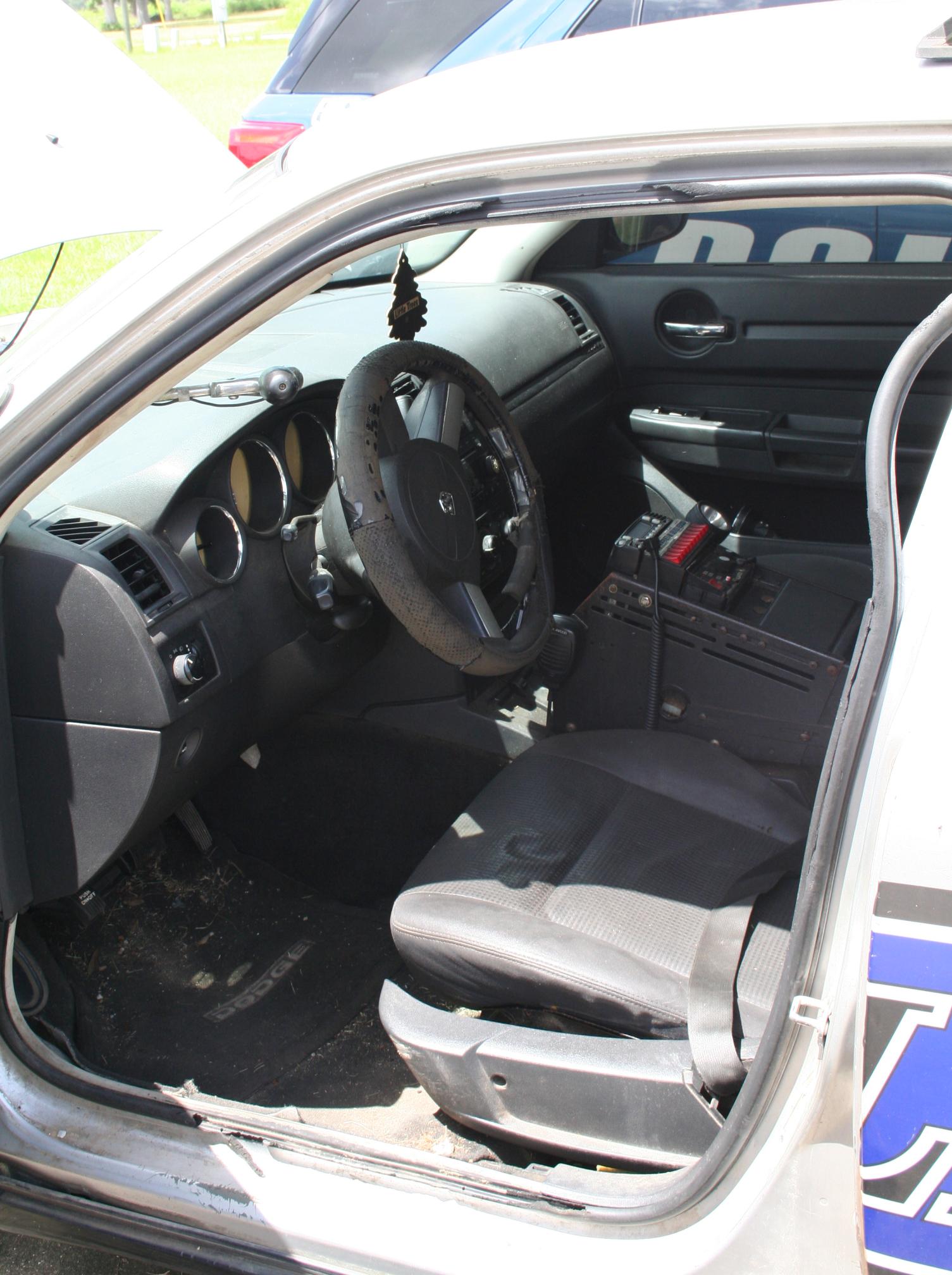 2010 DODGE Charger LX - view 8 of 12