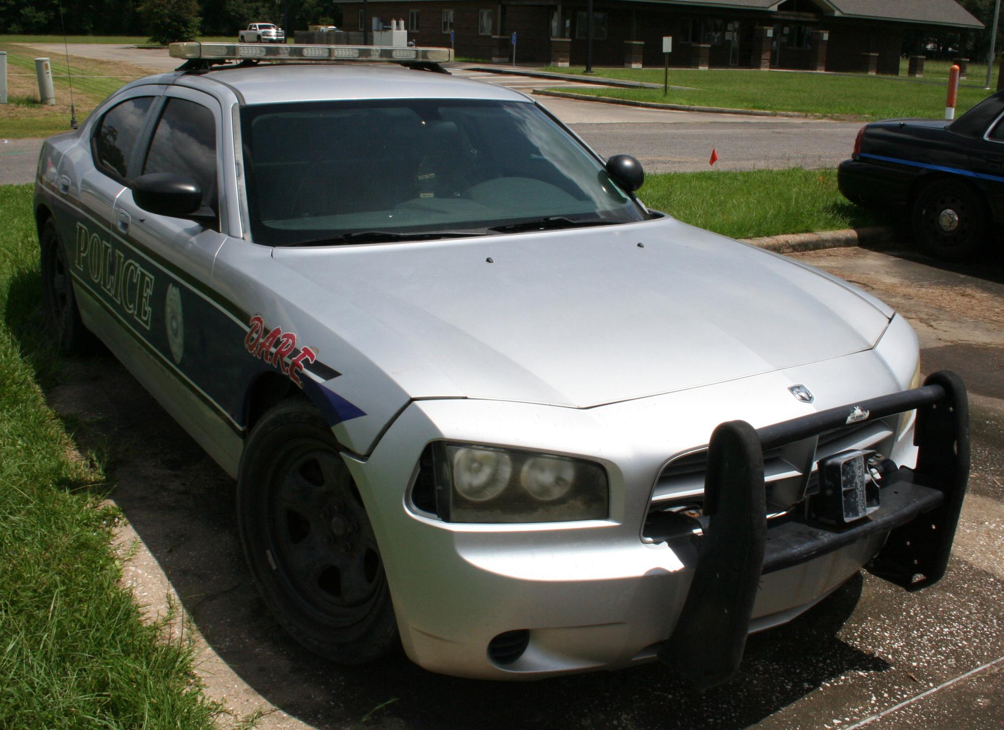 2010 DODGE Charger LX - view 6 of 12
